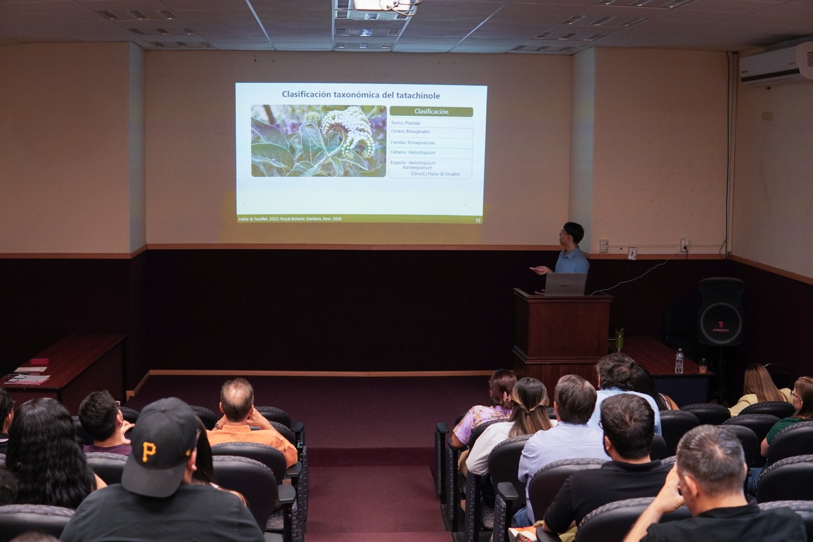Busca estudiante en Ciencia y Tecnología de Alimentos de la UAS validar científicamente el uso del tatachinole para tratar los cálculos renales