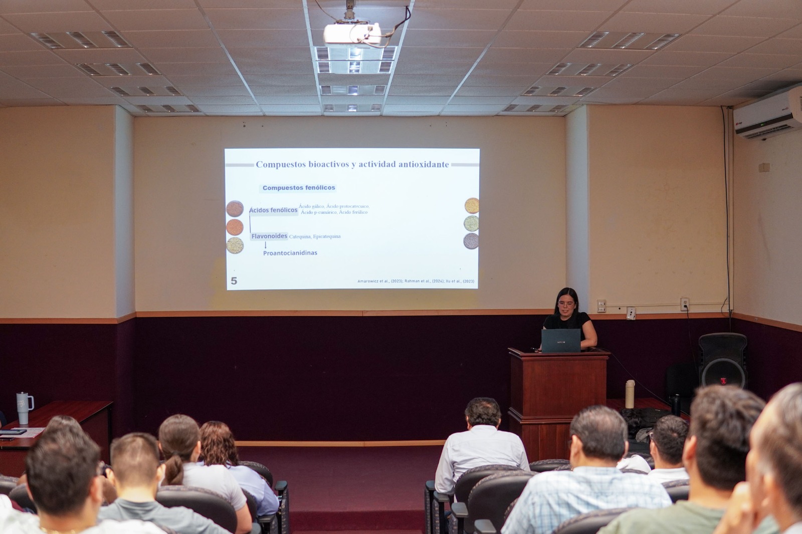 Desarrolla estudiante de la UAS proyecto para obtener harina funcional a partir de la germinación de lenteja y combatir así el consumo de ultraprocesados