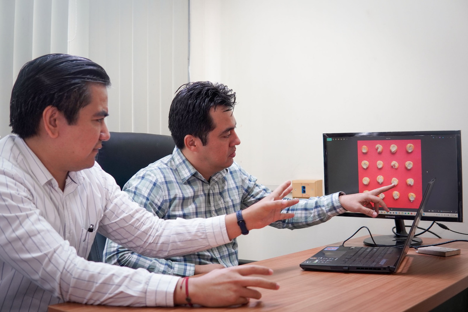 Desarrollan investigadores de la UAS tecnología de visión artificial para evaluar calidad del maíz; optimiza la clasificación de granos mediante IA