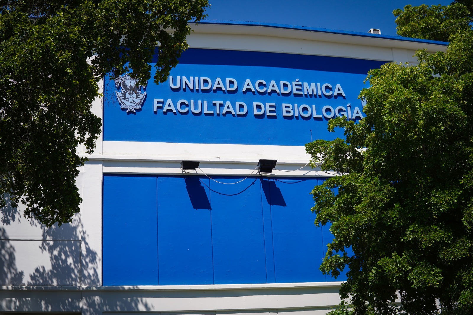 La tecnología permite a los humanos adaptarse al cambio climático sin modificar su organismo, mientras la biodiversidad enfrenta una carrera contra el aumento de las temperaturas